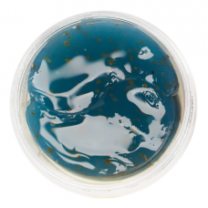 Гидрогелевые патчи с экстрактом голубой агавы L.Sanic Herbal Blue Agave Hydrogel Eye Patches